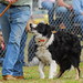 Donald Day Photo 27