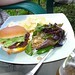 Debbie Sandlin Photo 14