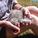 Jill Gull Photo 7