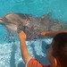 Debbie Garcia Photo 12