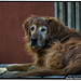 Roger Friend Photo 20
