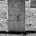 James Bonner Photo 17