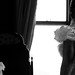 Vicky Wright Photo 24