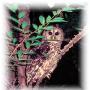 Valarie Adams Photo 15