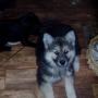 Robin Baldwin Photo 38