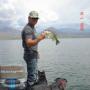 Carl Gray Photo 32