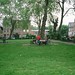 Robin Wilks Photo 15