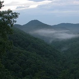 Linda Messick Photo 26