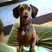 Frank Frank Photo 16