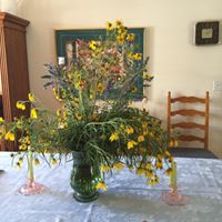 Ruth Skaggs Photo 11
