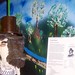 William Bacon Photo 22