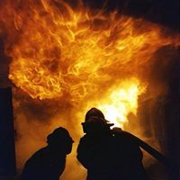 Michael Locke Photo 49