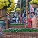 Thinh Ha Photo 17
