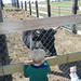 Nolan Carter Photo 25
