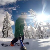 Brett Gardiner Photo 8