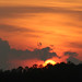 Kenneth Evens Photo 2