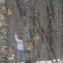 David Benoit Photo 23