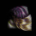 John Mintz Photo 6