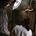 Steve Light Photo 2