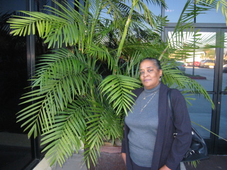Joyce Murray Photo 3