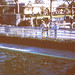 Donna Herman Photo 9