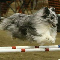 Terry Burks Photo 9
