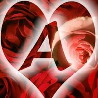Ahmed Elkady Photo 12