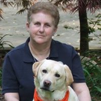 Susan Harp Photo 30