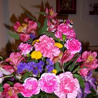 Janice Lang Photo 8