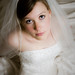 Amanda Barton Photo 16