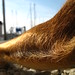 Lucy Cote Photo 14