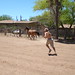 Joe Lefebvre Photo 26
