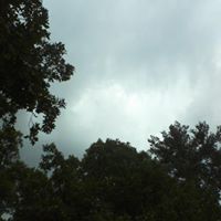 Allen Meeks Photo 3