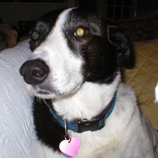 Jackie Childress Photo 5