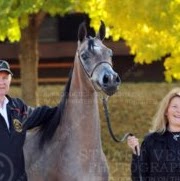 Darlene Collins Photo 6