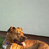 Trena Spence Photo 3