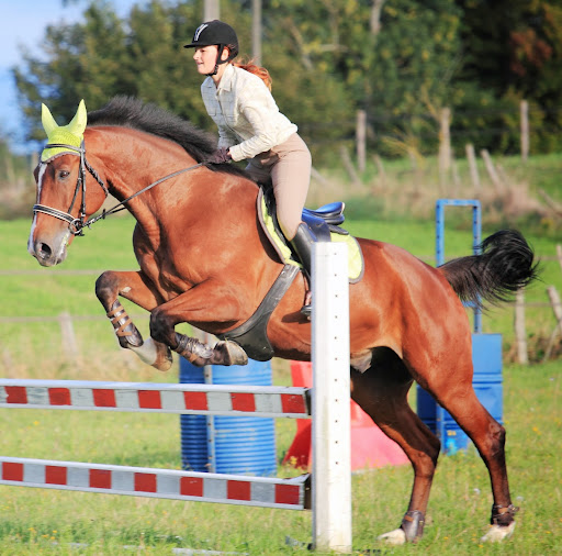 Anne Decker Photo 33