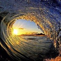Christopher Wiese Photo 7