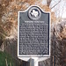 Mary Rodgers Photo 43