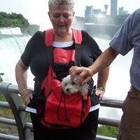 Elizabeth Mcavoy Photo 6