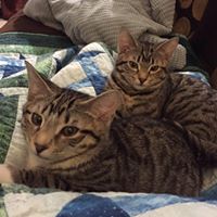 Jennifer Skelton Photo 39