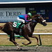 David Hastings Photo 36