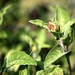 Karl Sage Photo 7