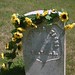 Andrew Armstrong Photo 23