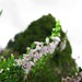 Heather Kirby Photo 22