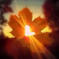 Kimberly Wells Photo 37
