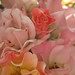 Laura Clements Photo 18