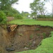 Terrance Higgins Photo 6