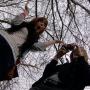 Alice Peters Photo 27