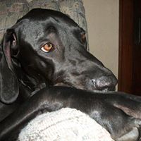 Todd Colby Photo 14